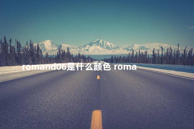 romand06是什么颜色 romand06适合黄皮吗